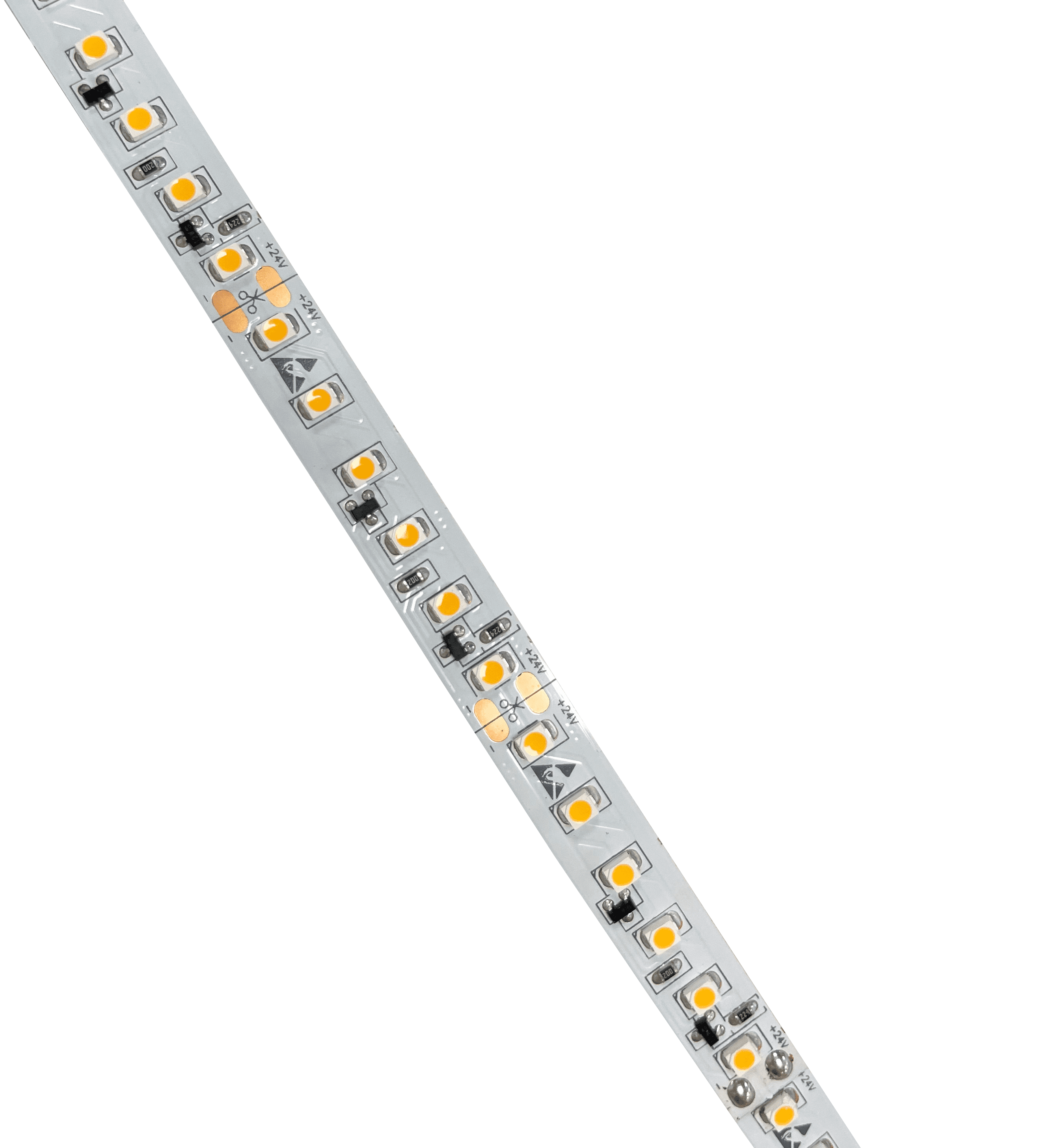 iFlex Professional | 14.4w