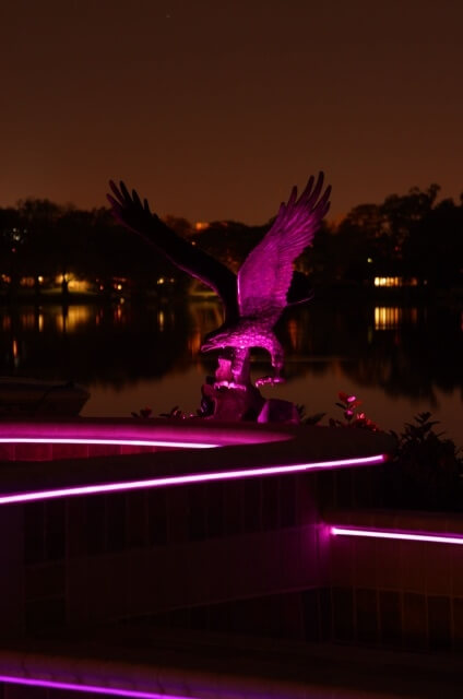 led swimming pool light